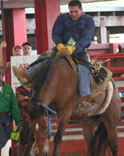 MensBroncRiding02.jpg