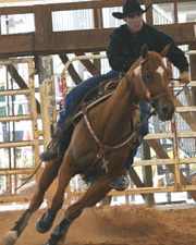 PoleBending04.jpg